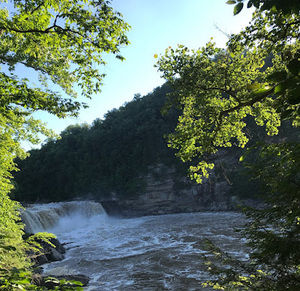 Meet your Posher, Tesla